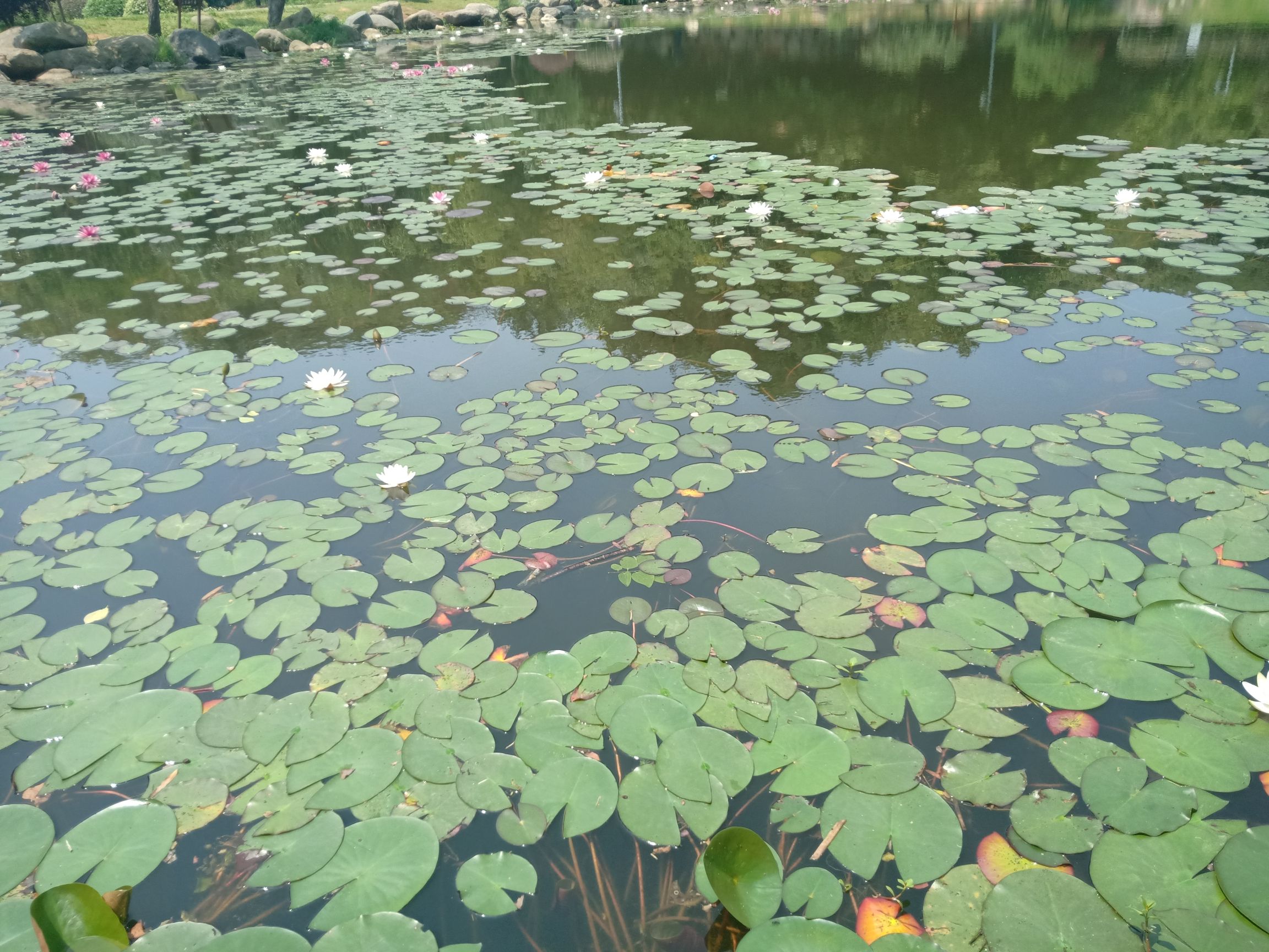 三台山公园旅行图片 3