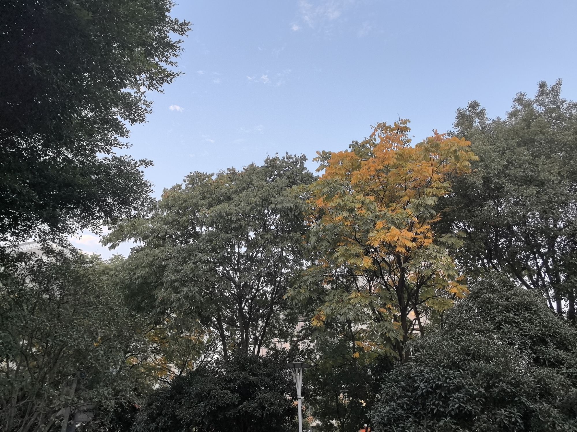 世纪公园旅行图片 2