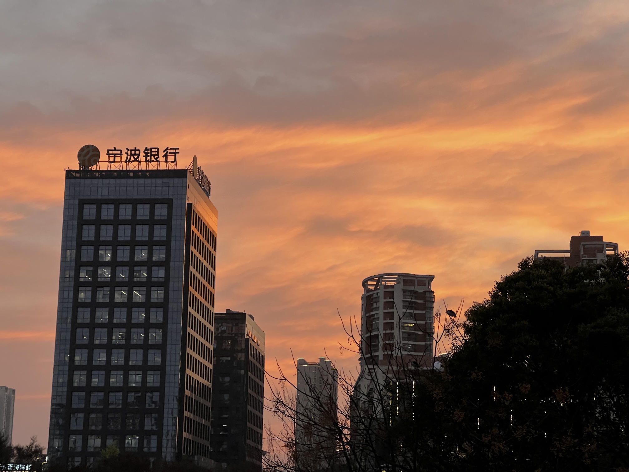 世纪公园旅行图片 2