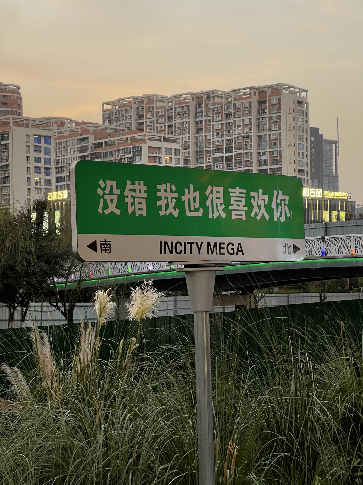 世纪公园旅行图片 3