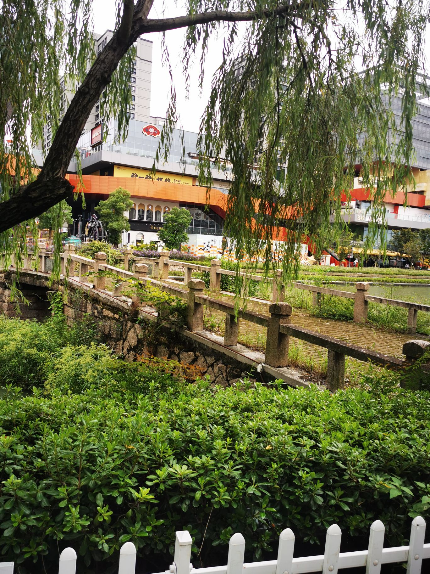 世纪公园旅行图片 3