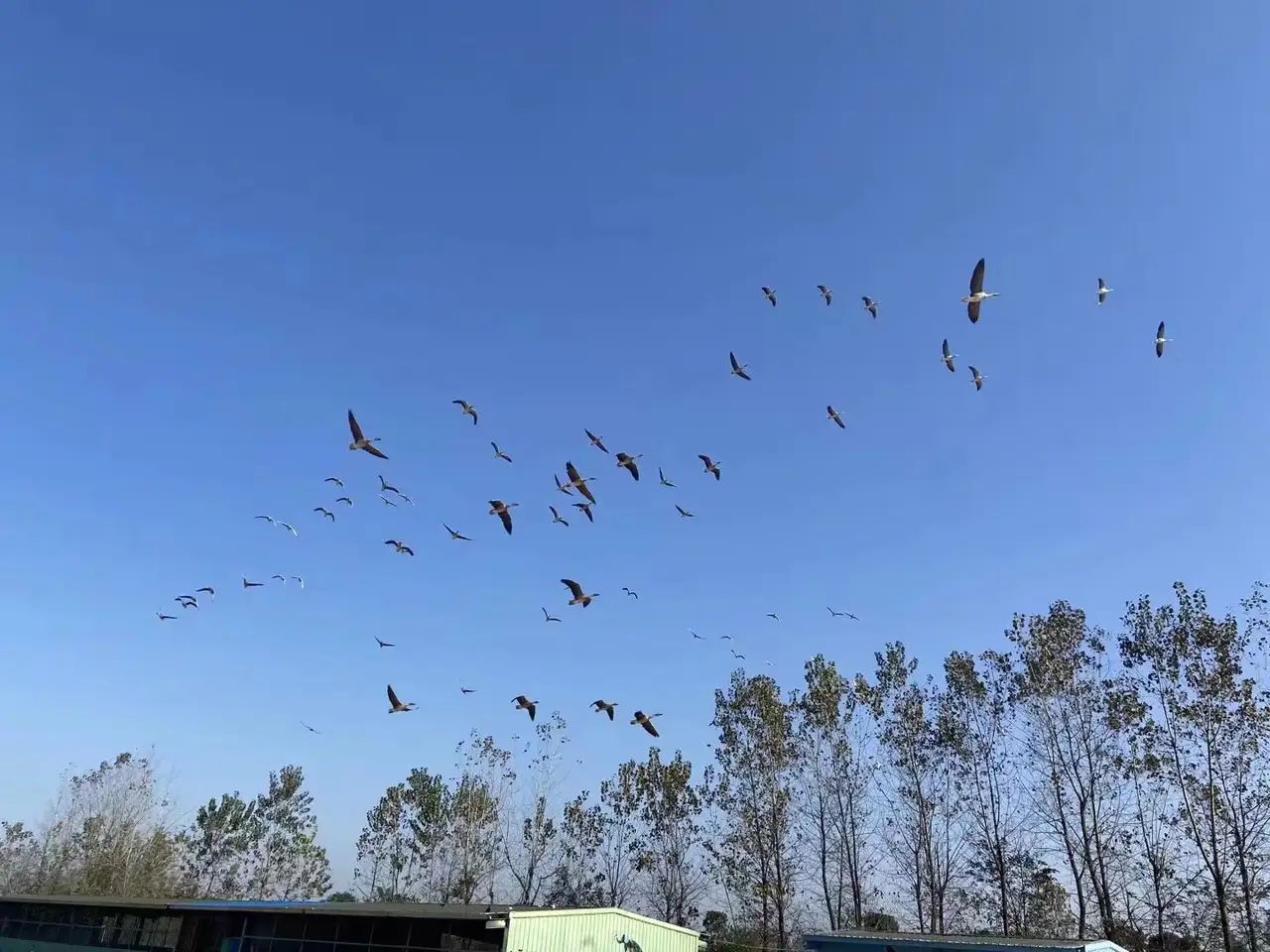 洋沙湖国际旅游度假区旅行图片 3