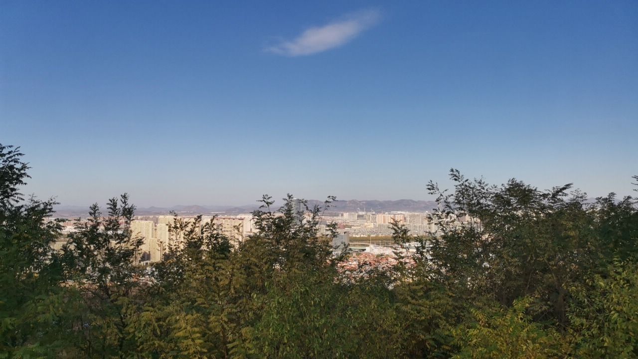 南山秋