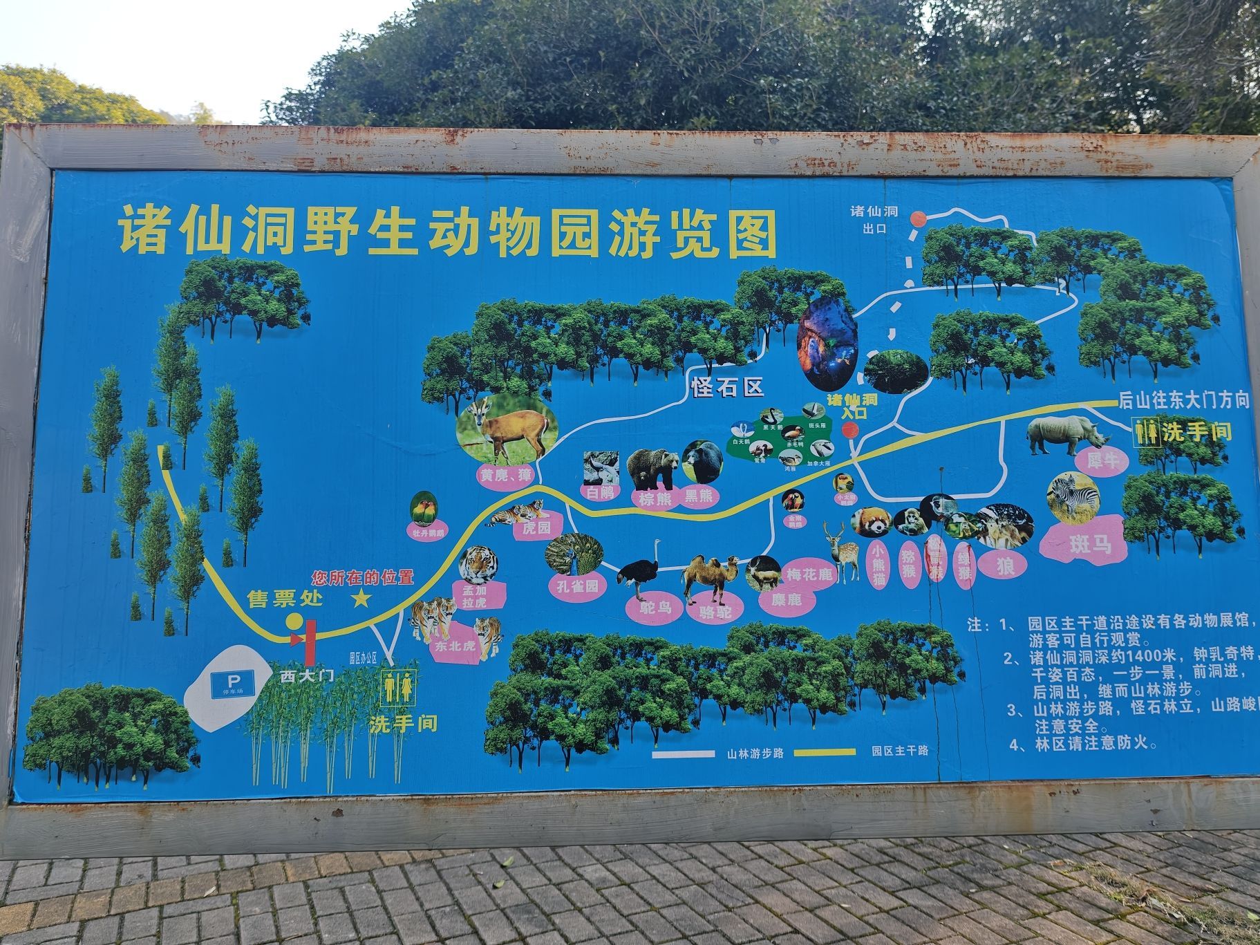 景德镇诸仙洞野生动物园旅行图片 1