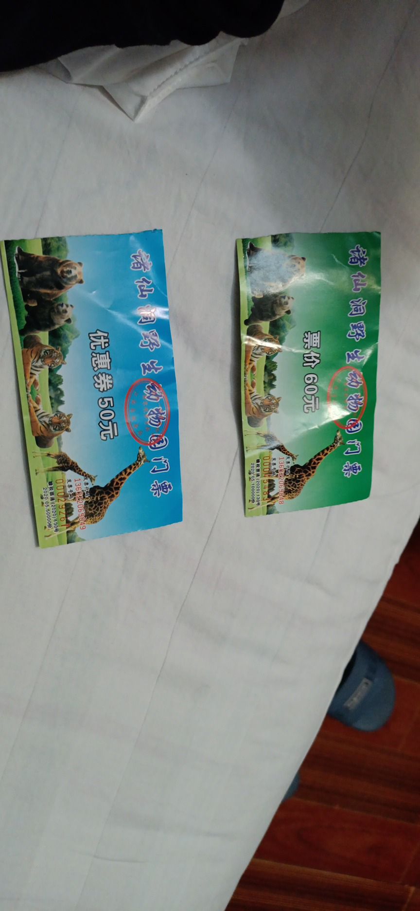景德镇诸仙洞野生动物园旅行图片 1