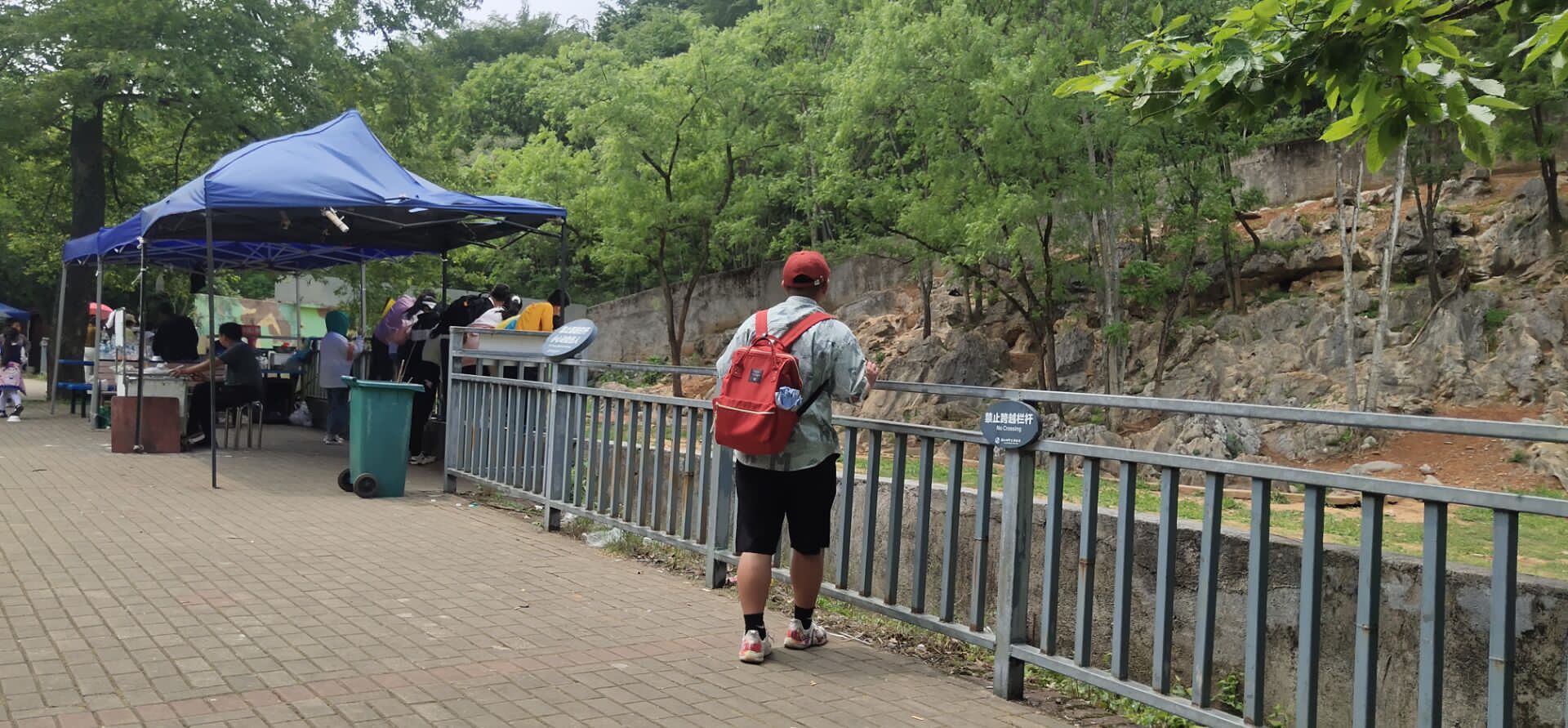 景德镇诸仙洞野生动物园旅行图片 2