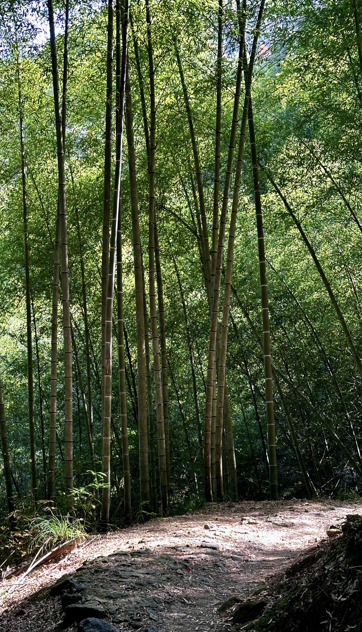 公盂景区旅行图片 2