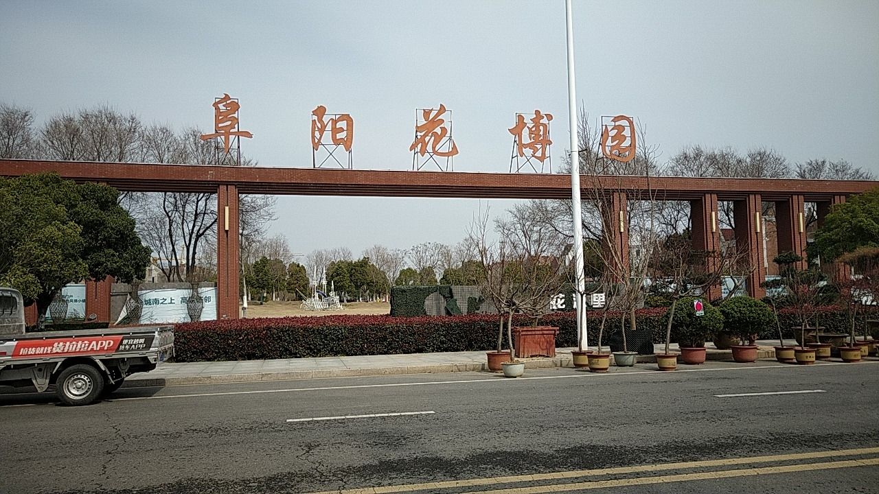 颍州区阜阳花博园旅行图片 2