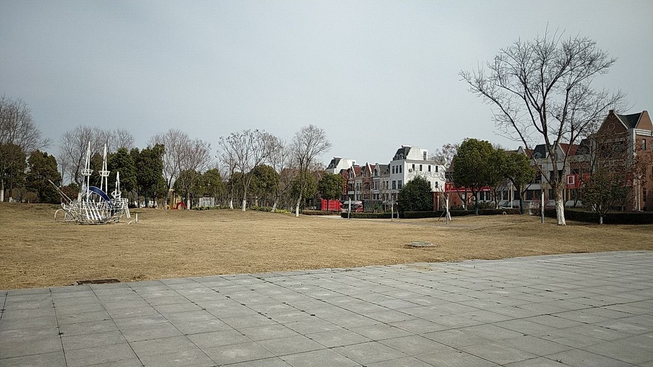 颍州区阜阳花博园旅行图片 3