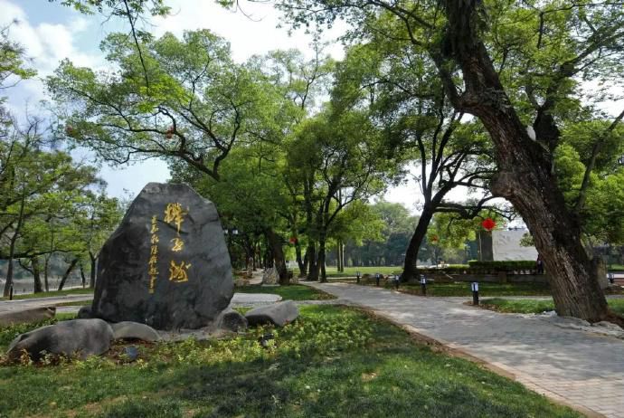 榉子洲公园