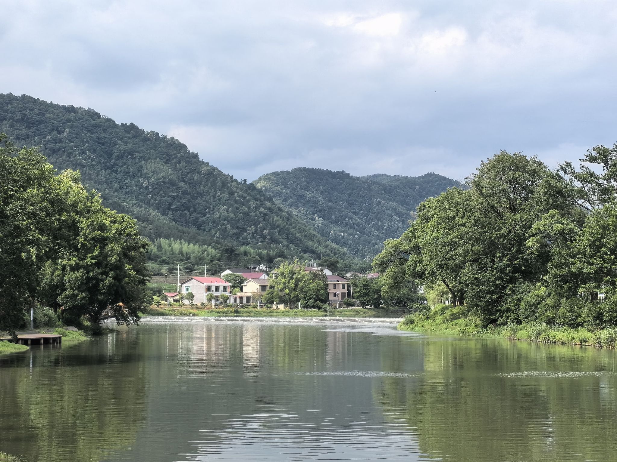 千年罗汉松公园旅行图片 2