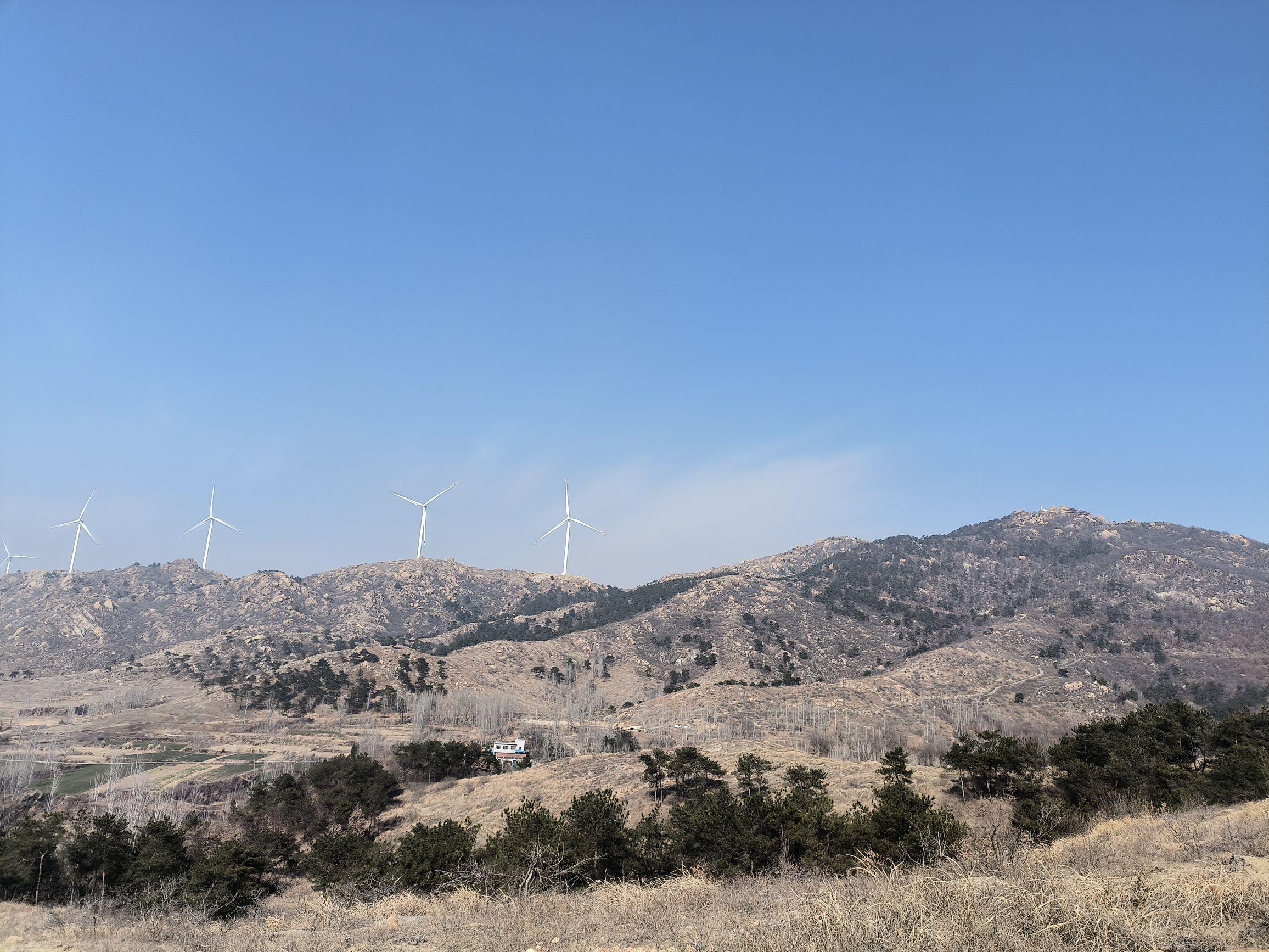 石柱山森林公园旅行图片 3