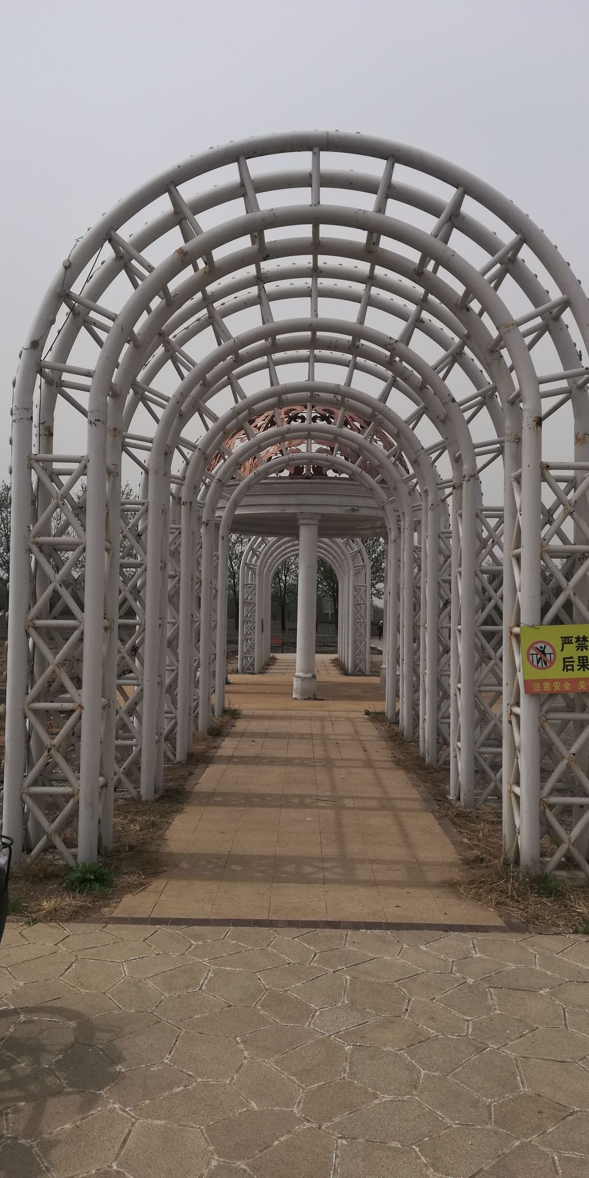 中药都药博园旅行图片 1