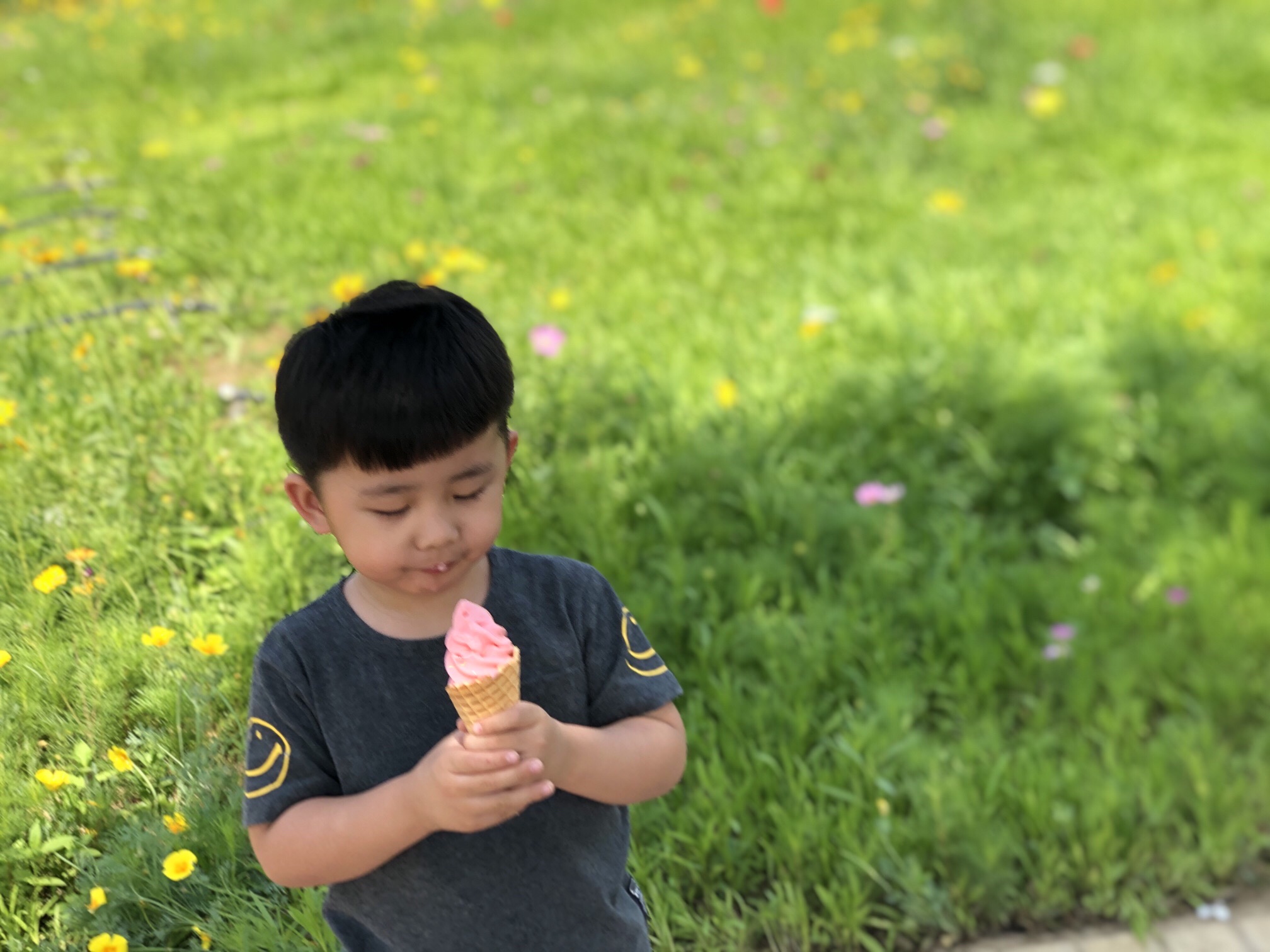 中药都药博园旅行图片 2