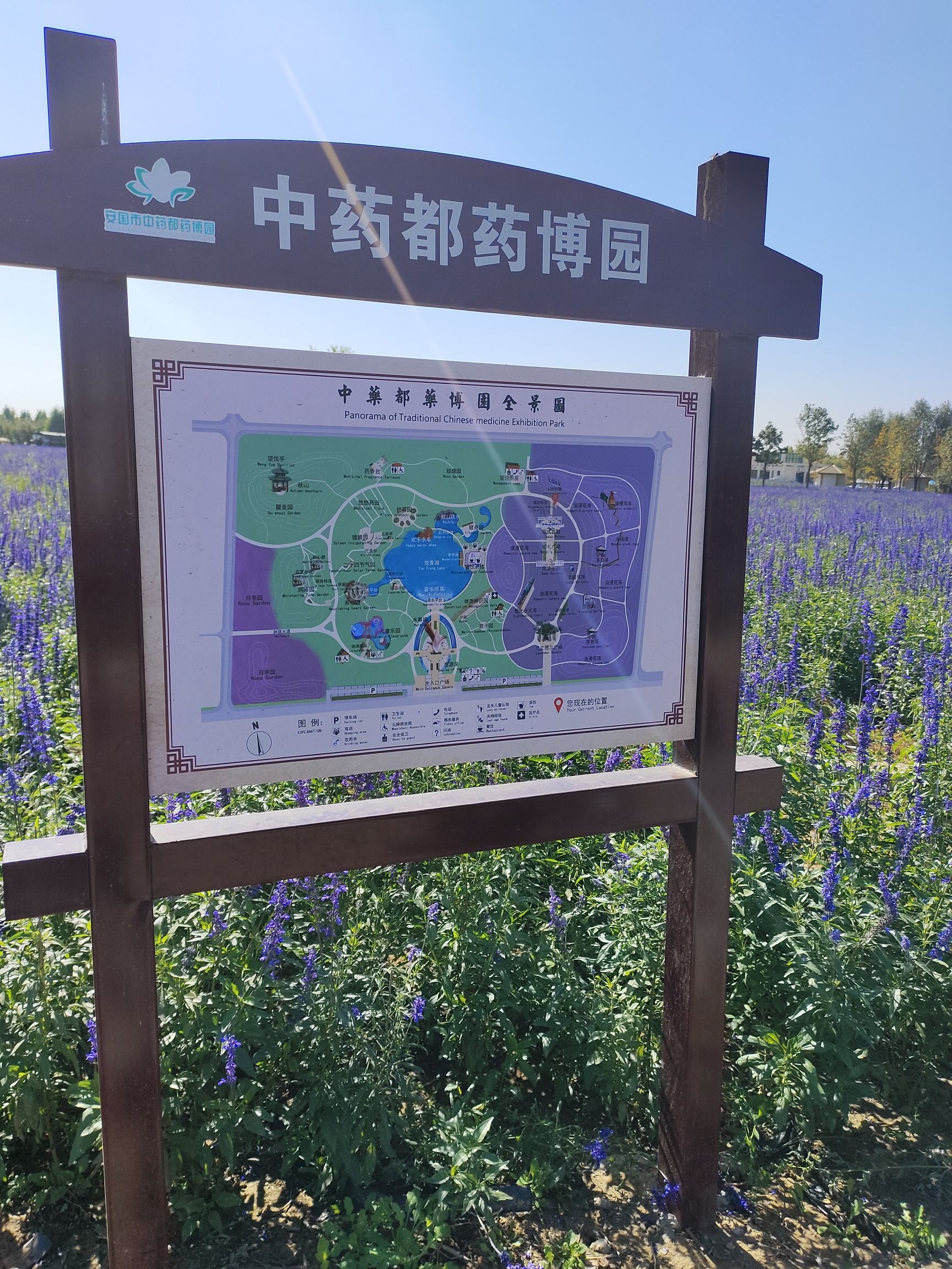 保定市安国市经典路线推荐