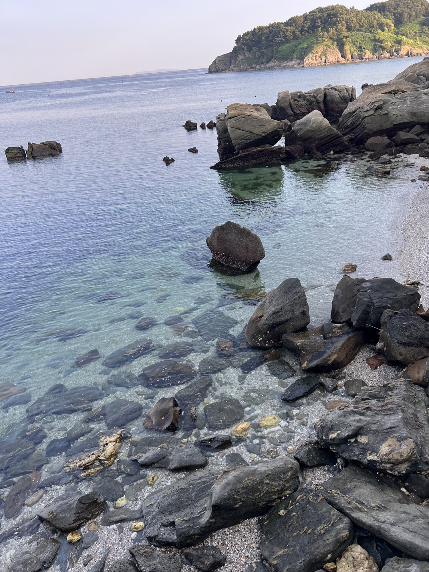 小水口森林公园旅行图片 3