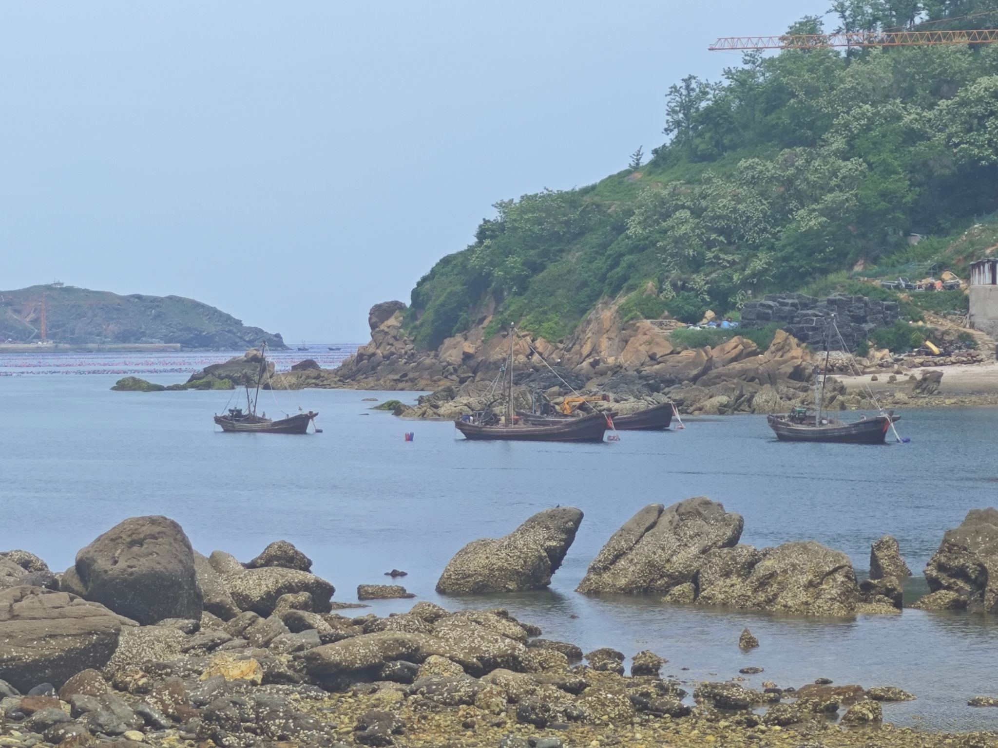 小水口森林公园旅行图片 1
