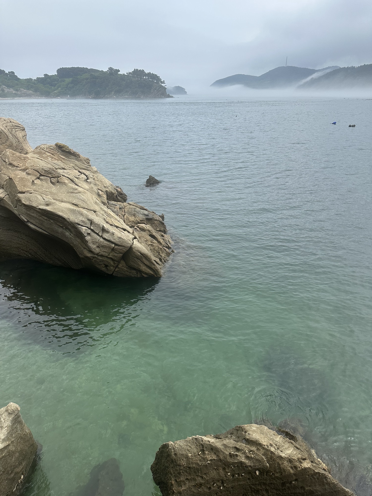 小水口森林公园旅行图片 3