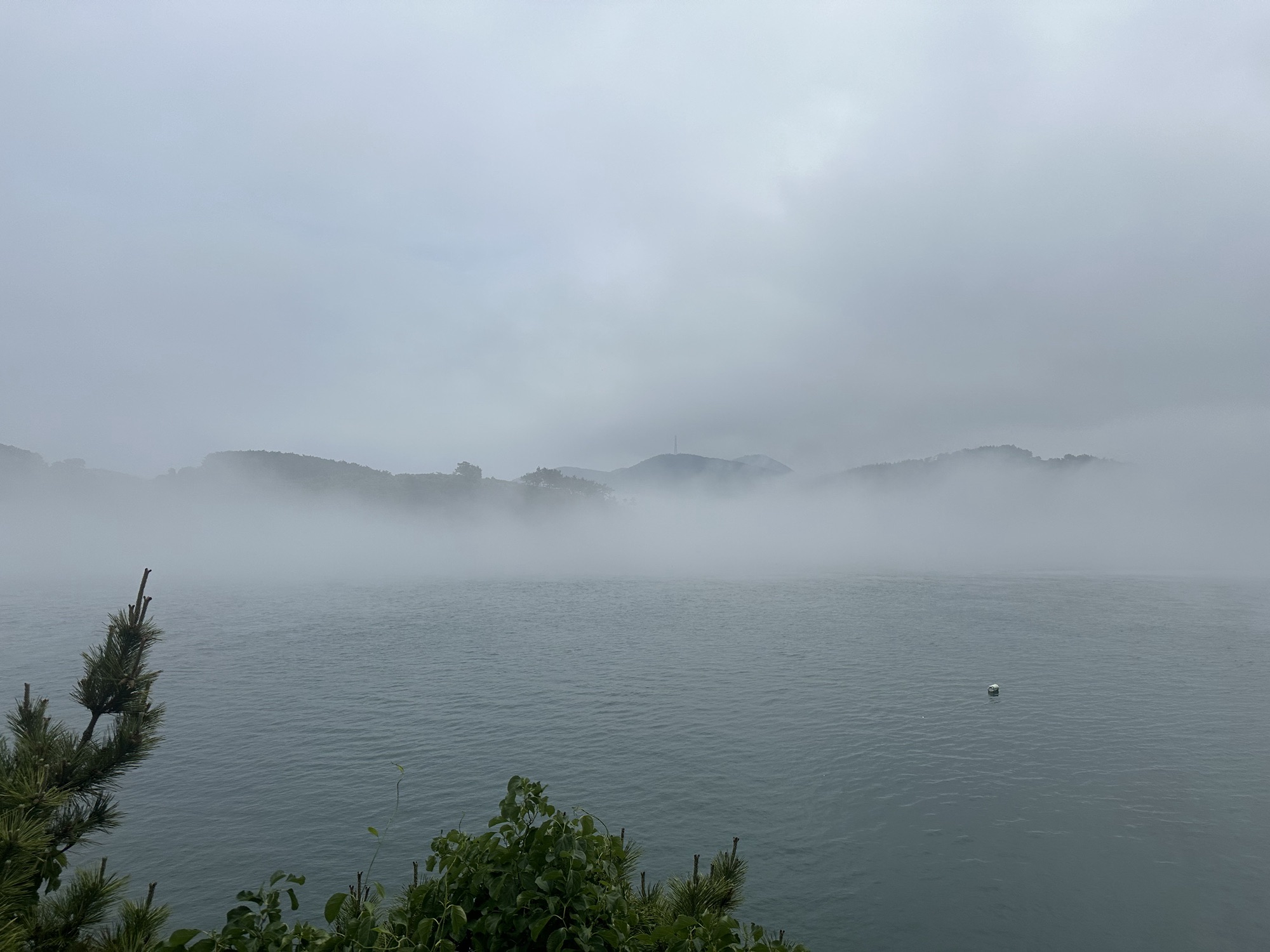 小水口森林公园旅行图片 2