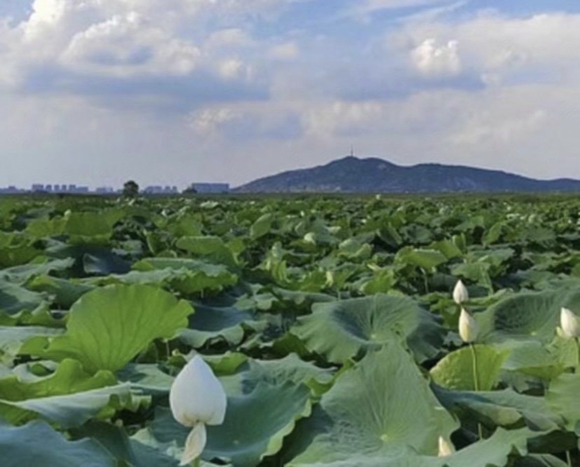 荆山湖风景区旅行图片 2