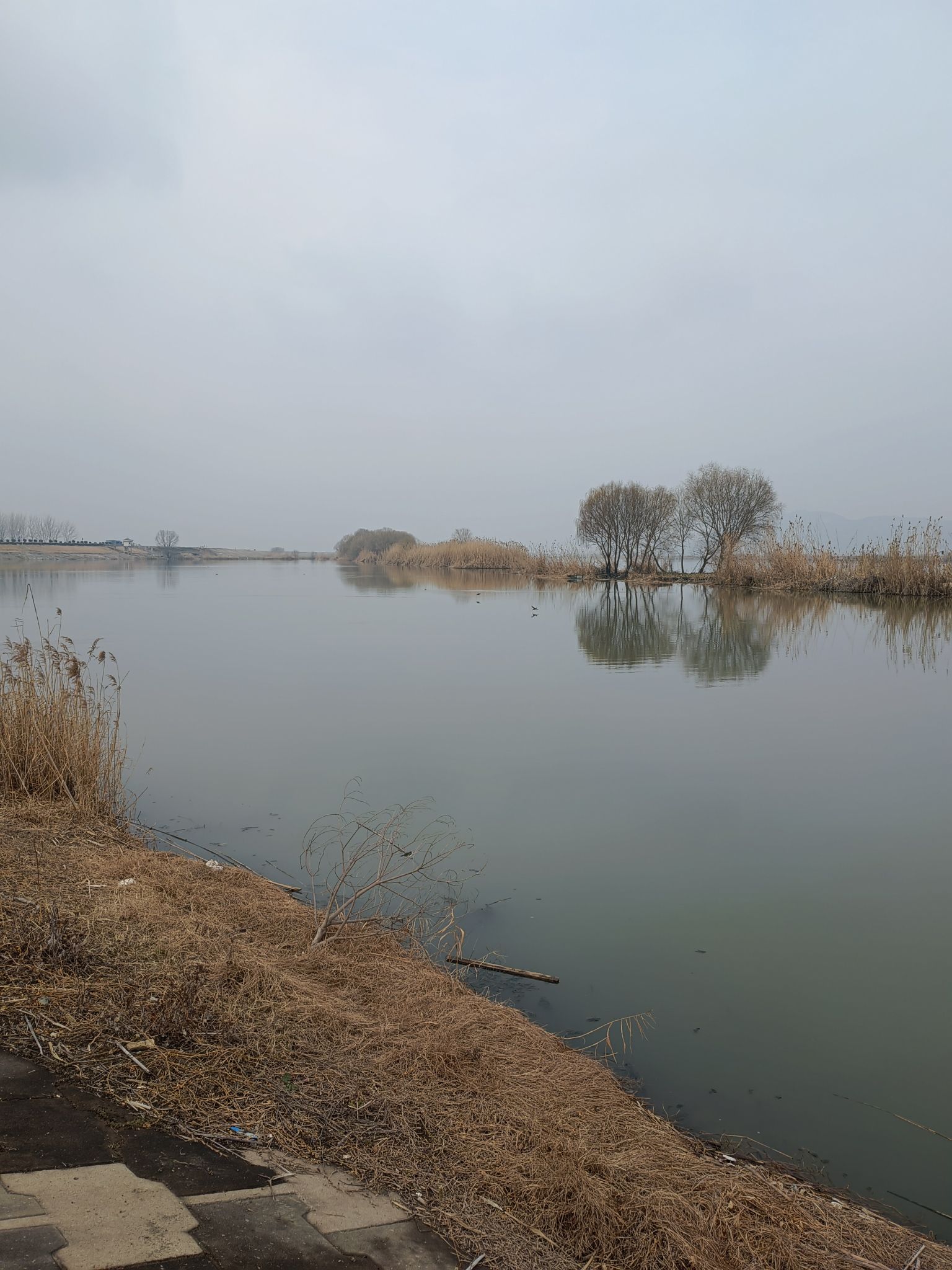 荆山湖风景区旅行图片 3