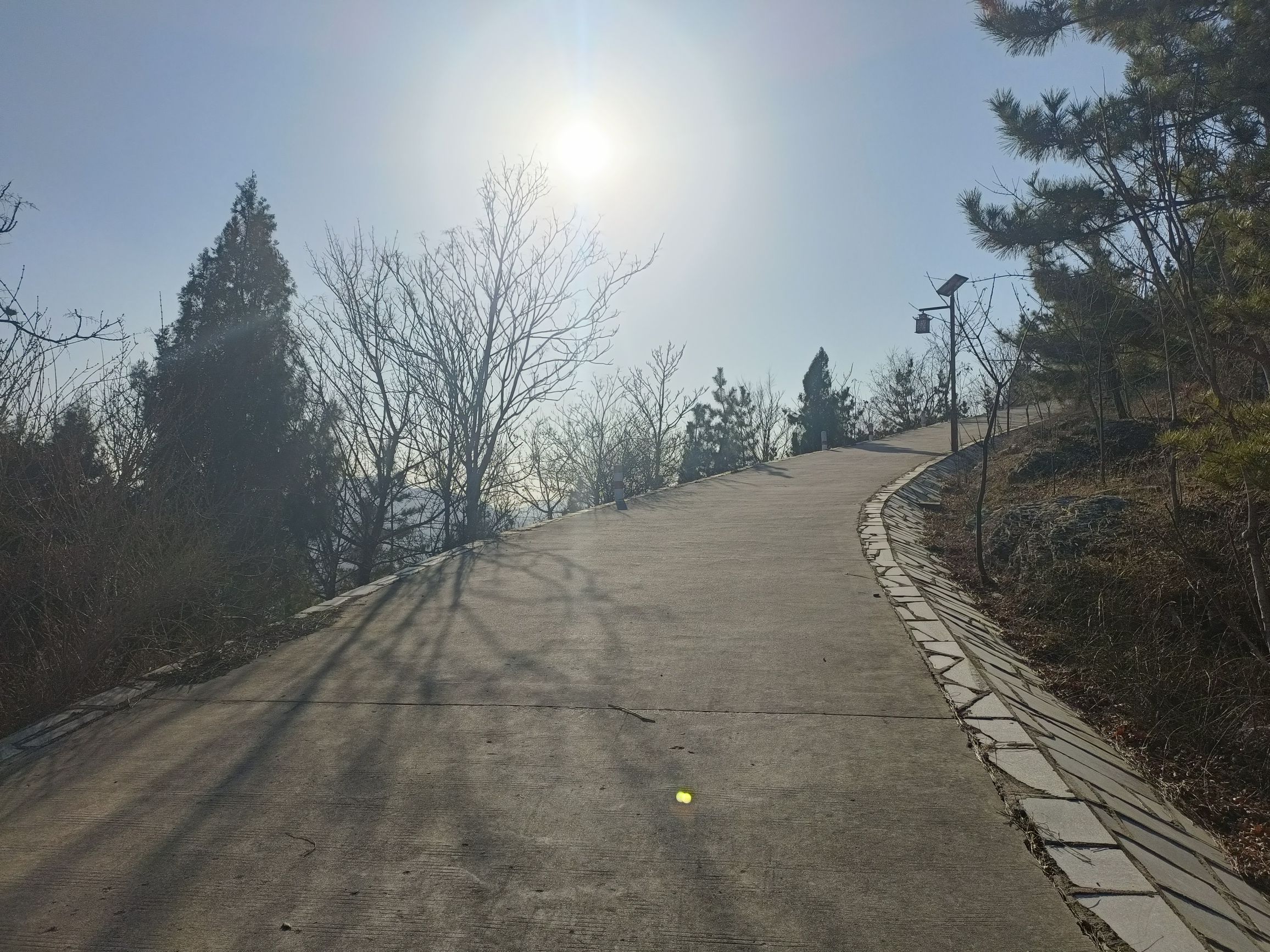 平邑西山公园旅行图片 1