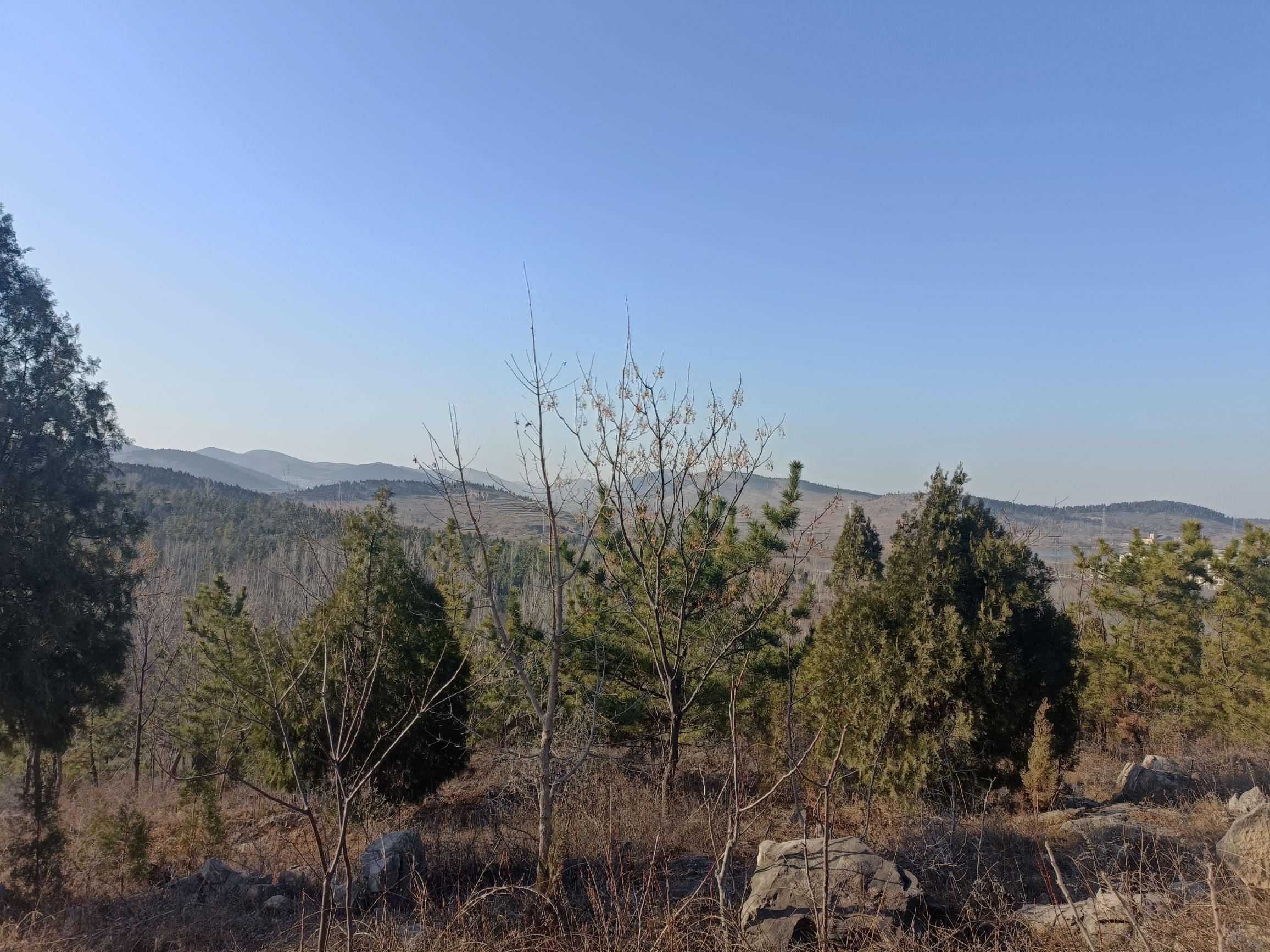 平邑西山公园旅行图片 2