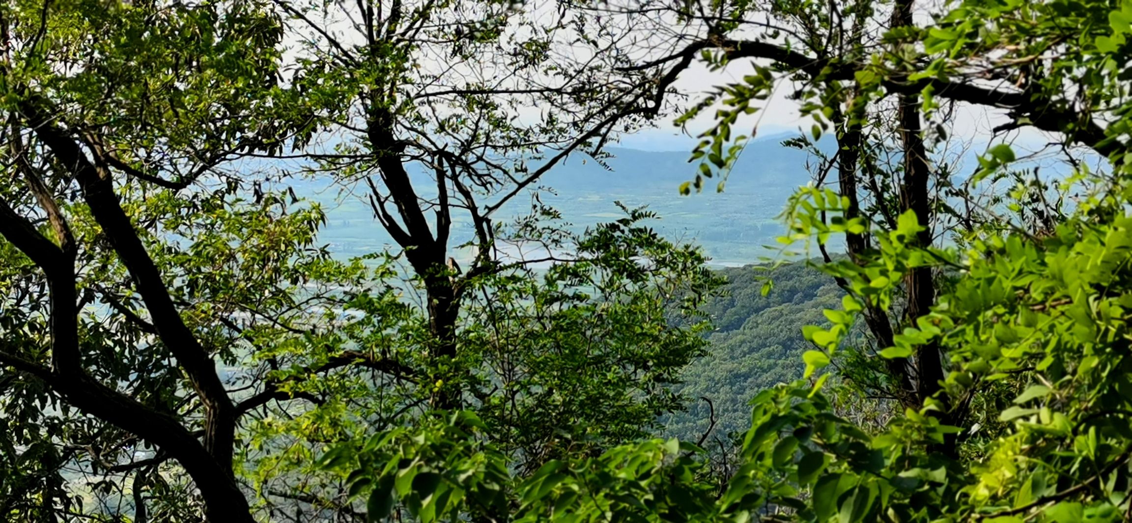 灵泉山旅行图片 2