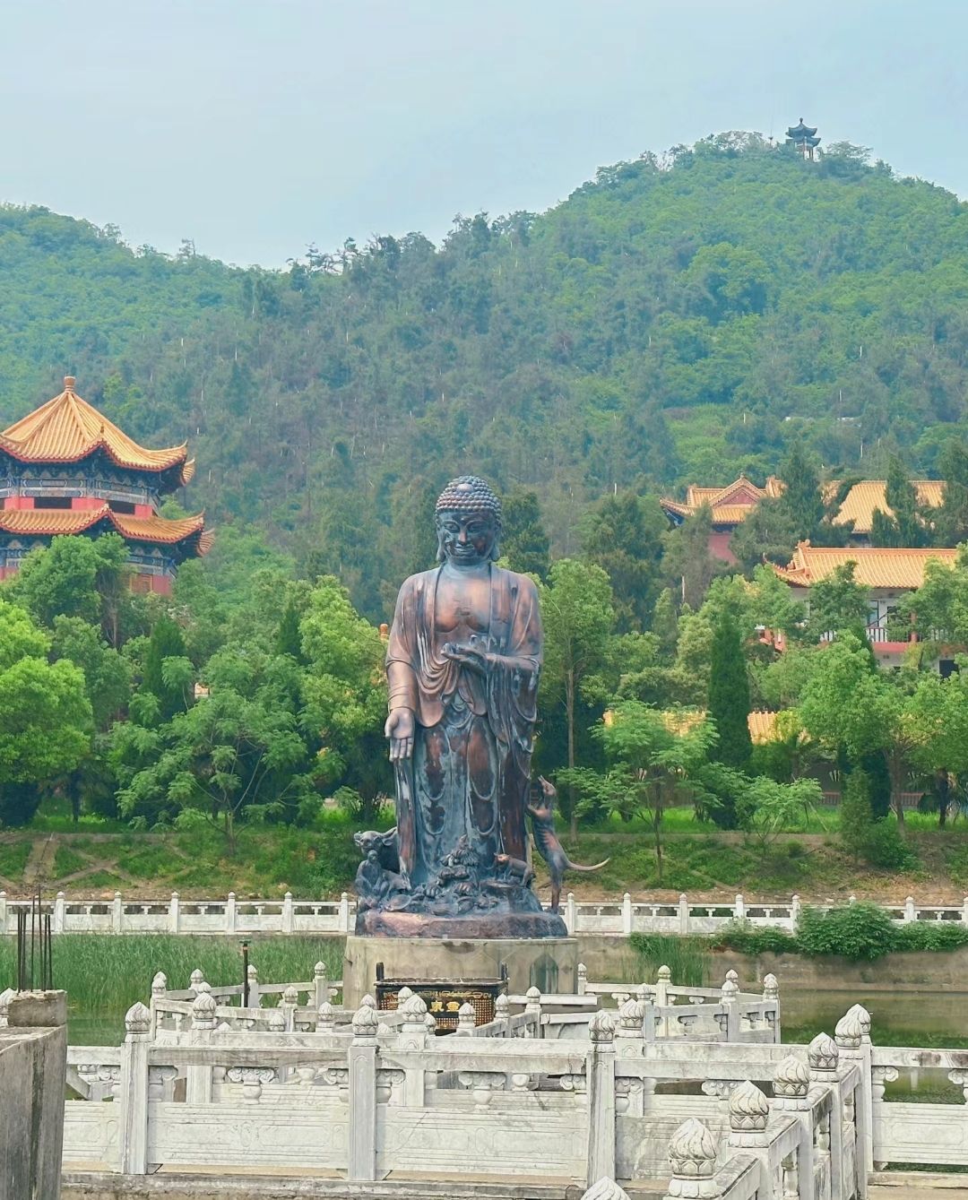 灵泉山旅行图片 2