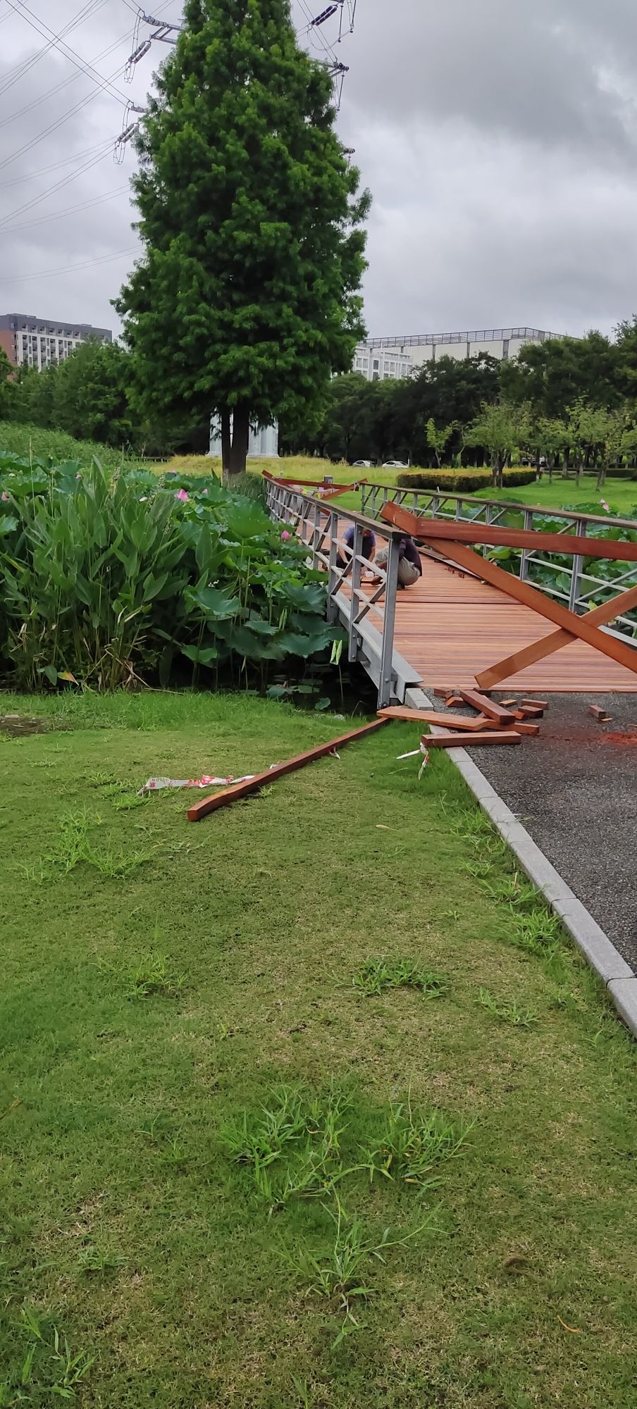 花桥生态湿地净水公园旅行图片 1