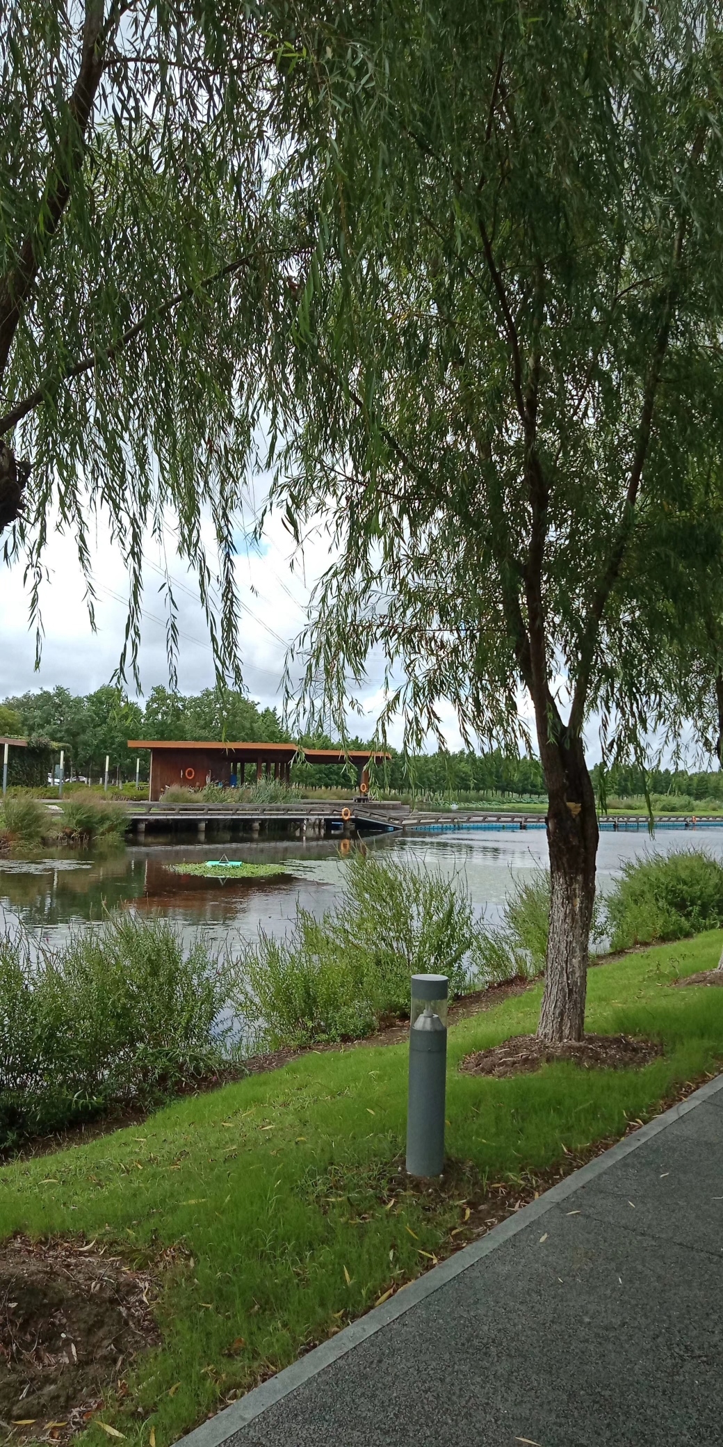 花桥生态湿地净水公园旅行图片 1