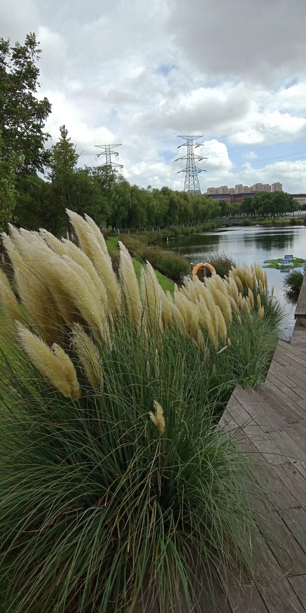 花桥生态湿地净水公园旅行图片 3
