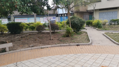 华里小公园旅行图片 2