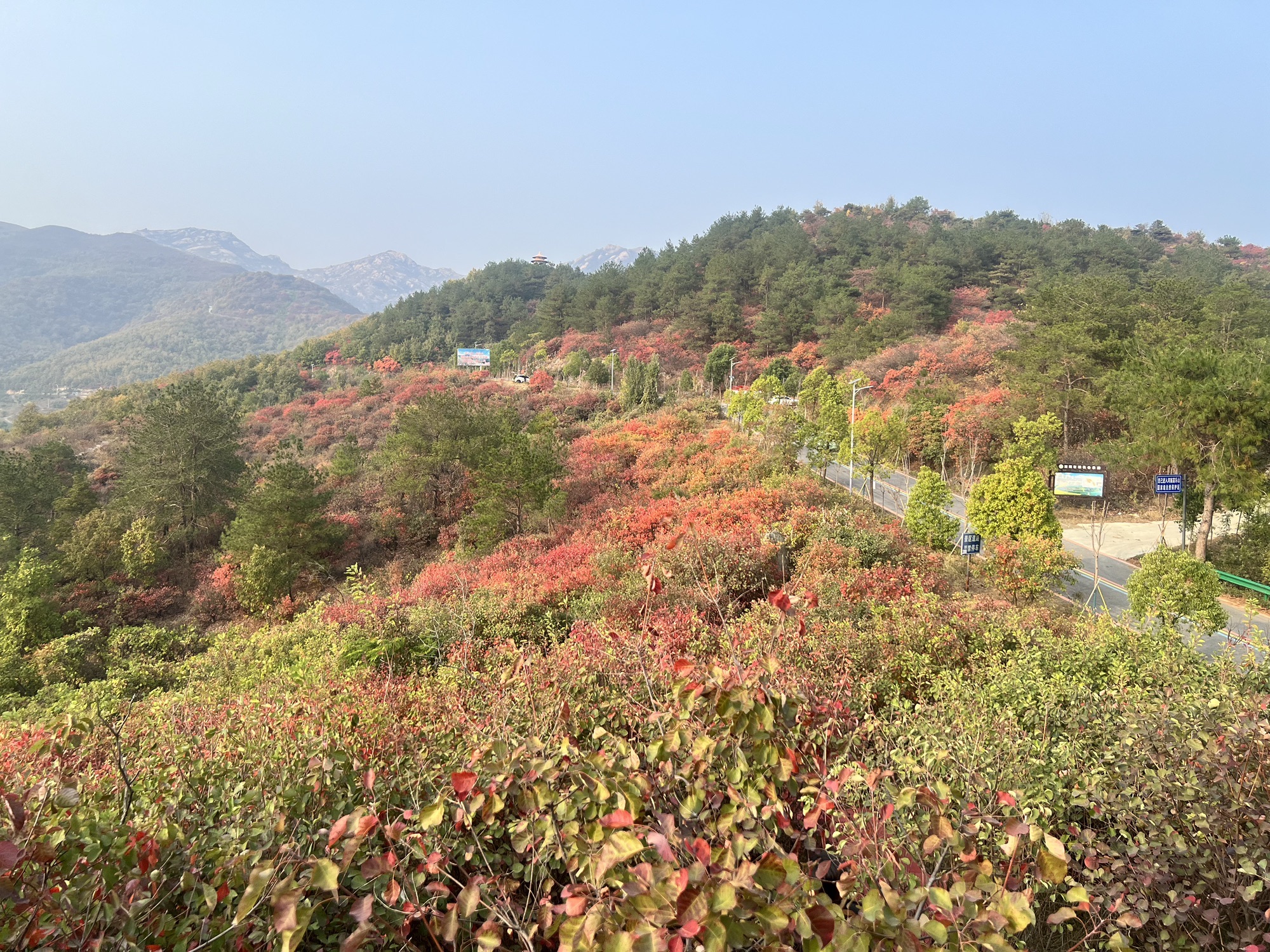 桐柏红叶景区旅行图片 3