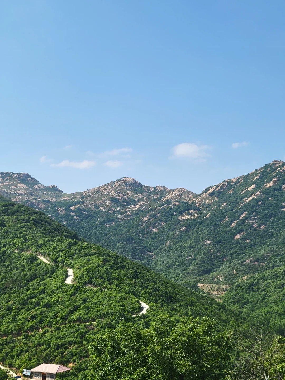 桐柏红叶景区旅行图片 3
