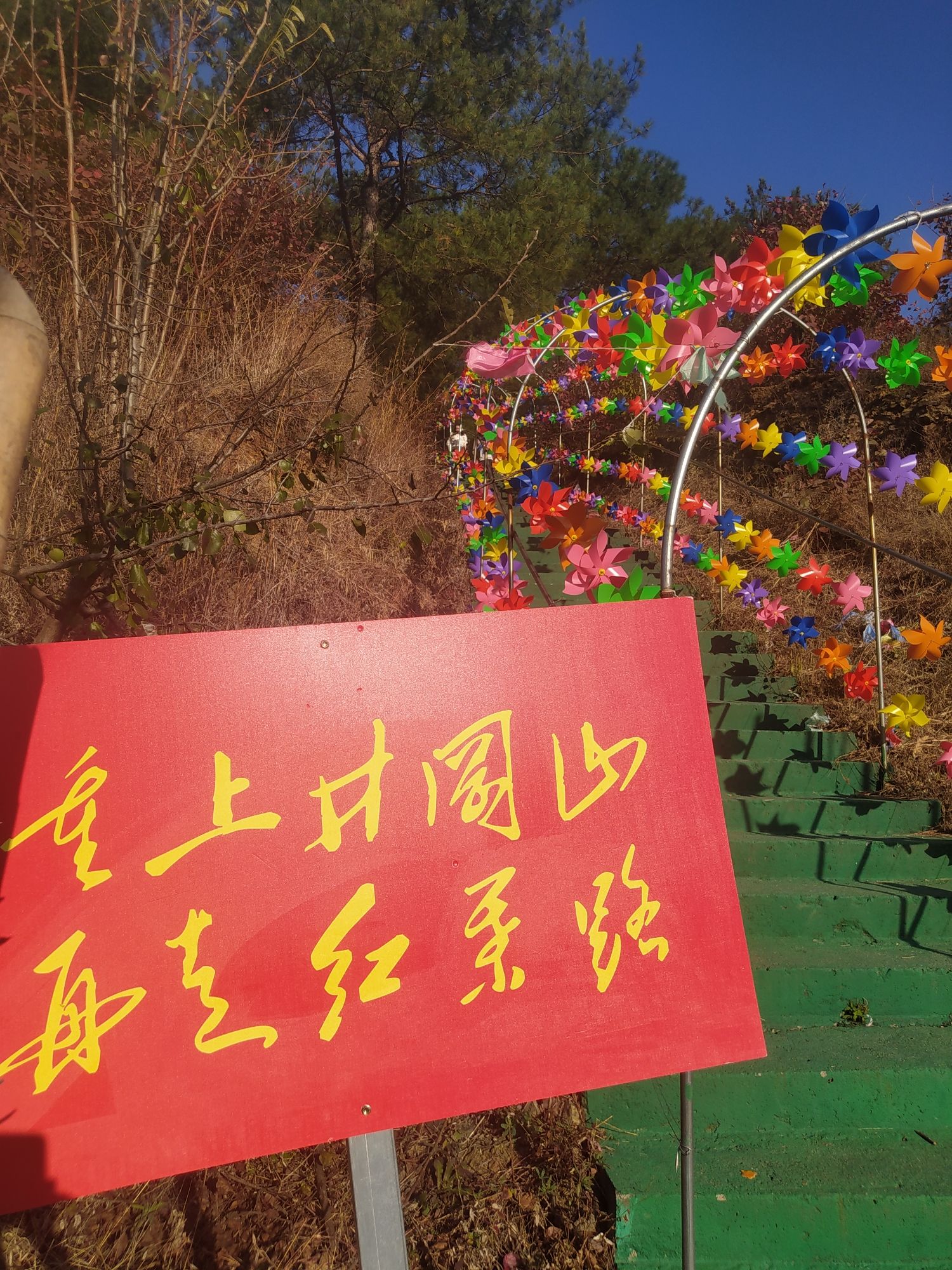 桐柏红叶景区旅行图片 3