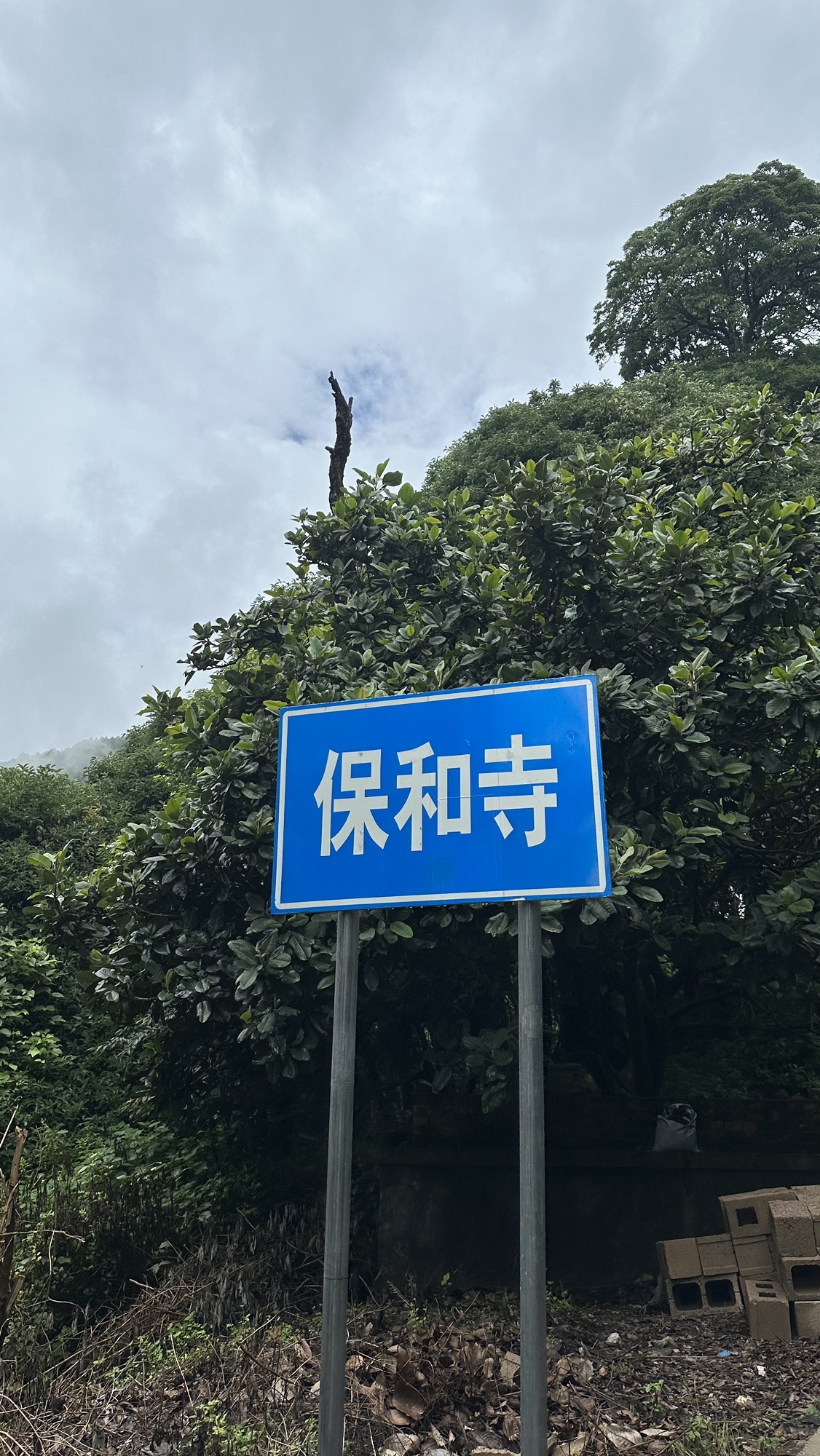 保和寺实景照片