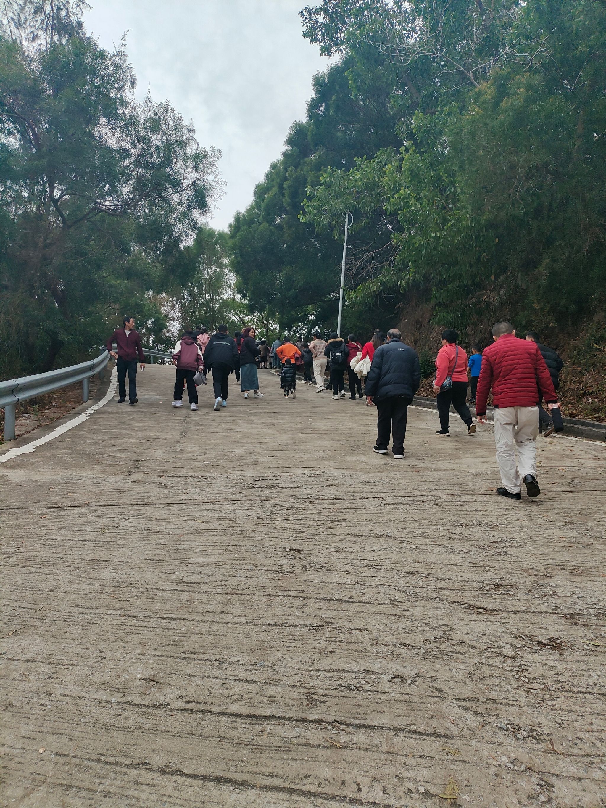阳东龙山公园旅行图片