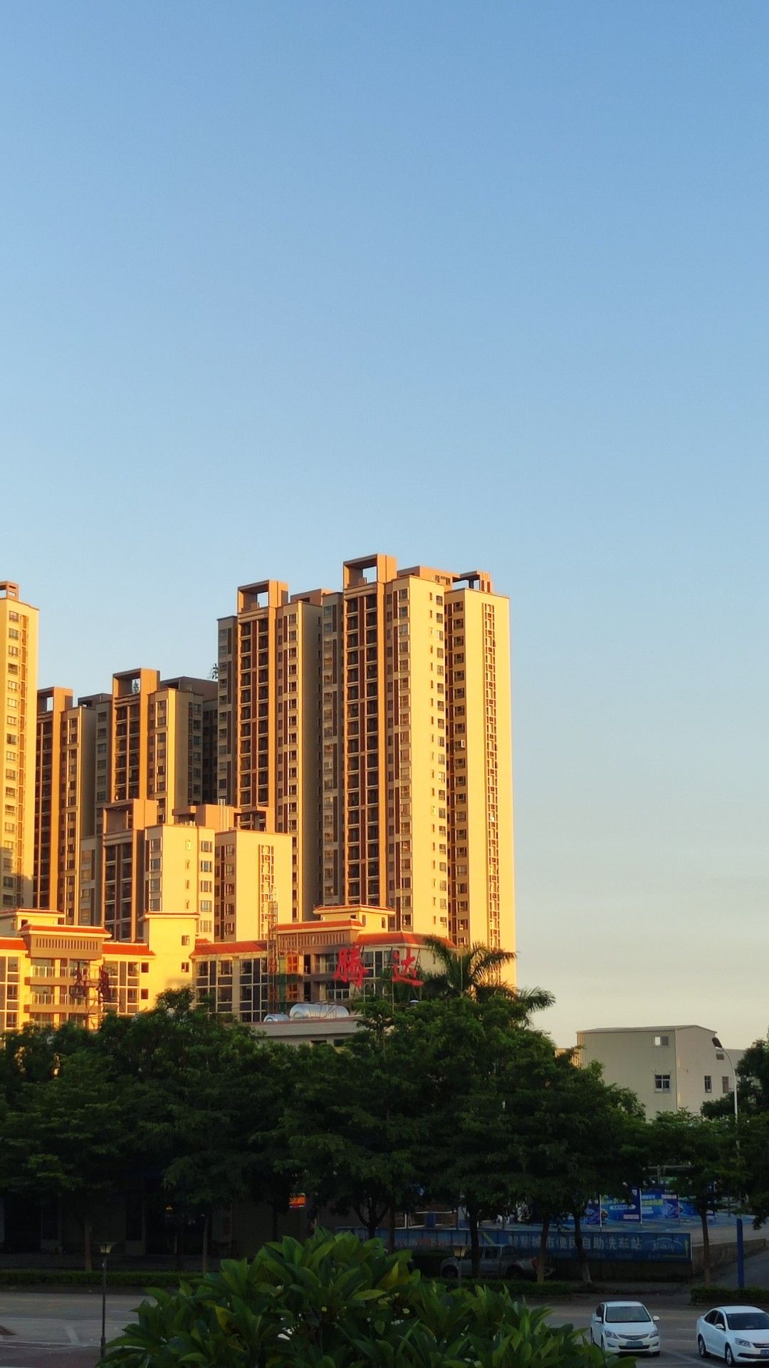 阳东龙山公园旅行图片 3