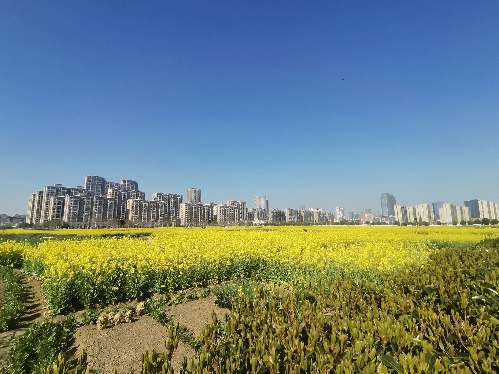 通吕绿廊景区