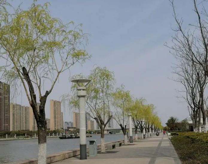 通吕绿廊景区旅行图片 2