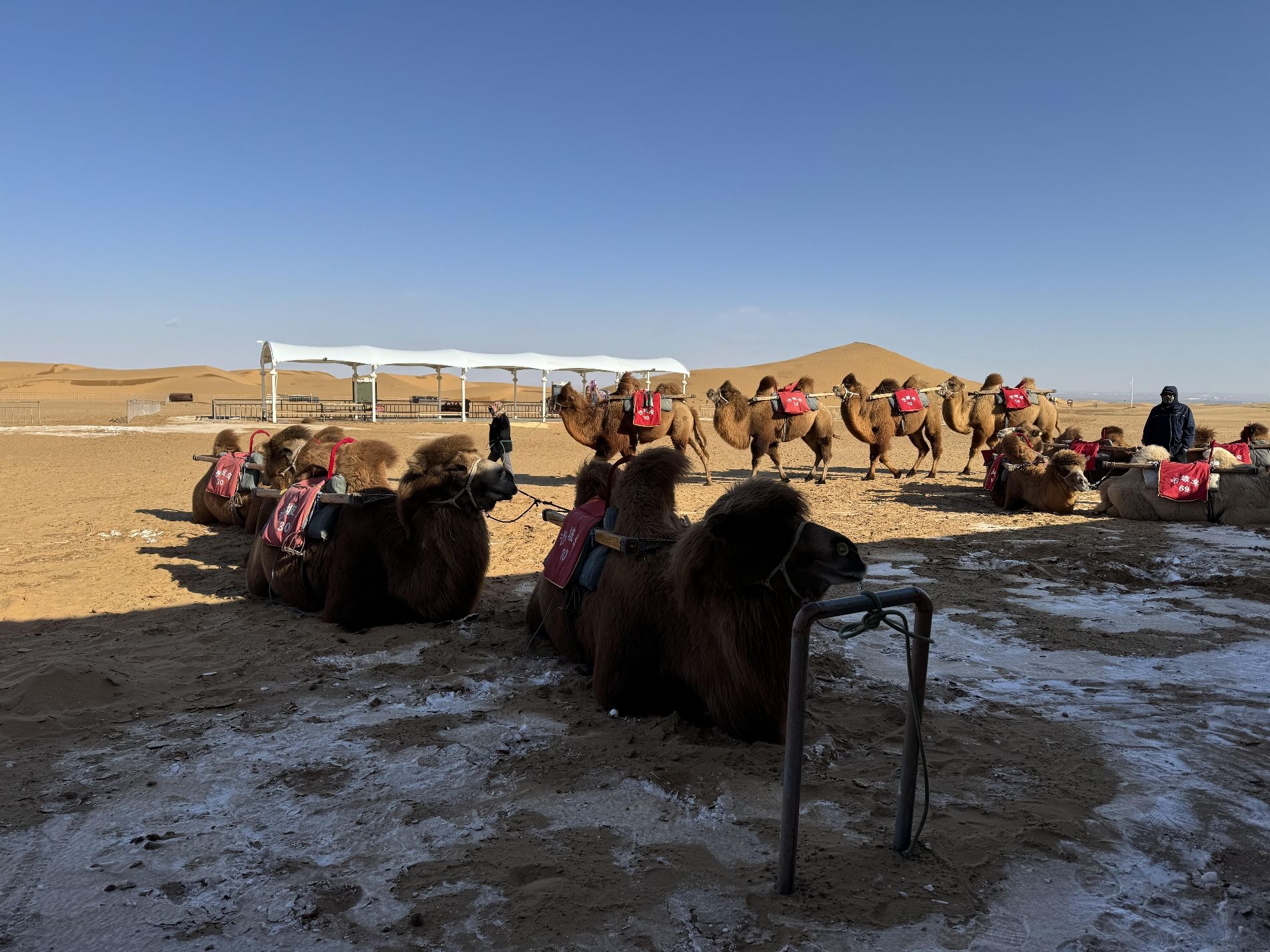 阿拉善梦想沙漠公园旅行图片 2
