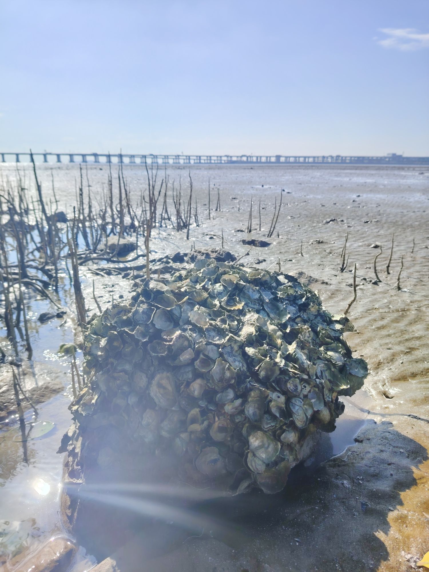 无名海滩旅行图片 1