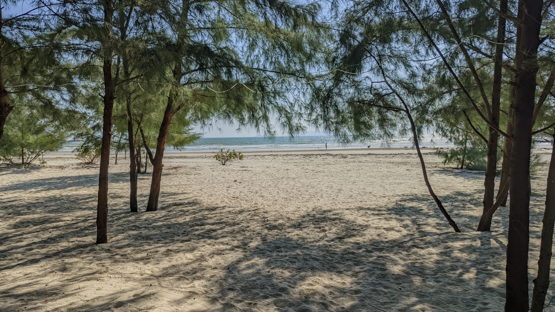 无名海滩旅行图片 3