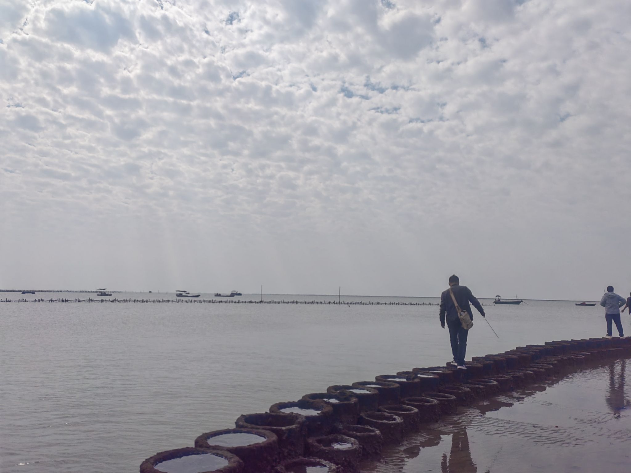 湛江东海龟头村海豚湾旅行图片 1