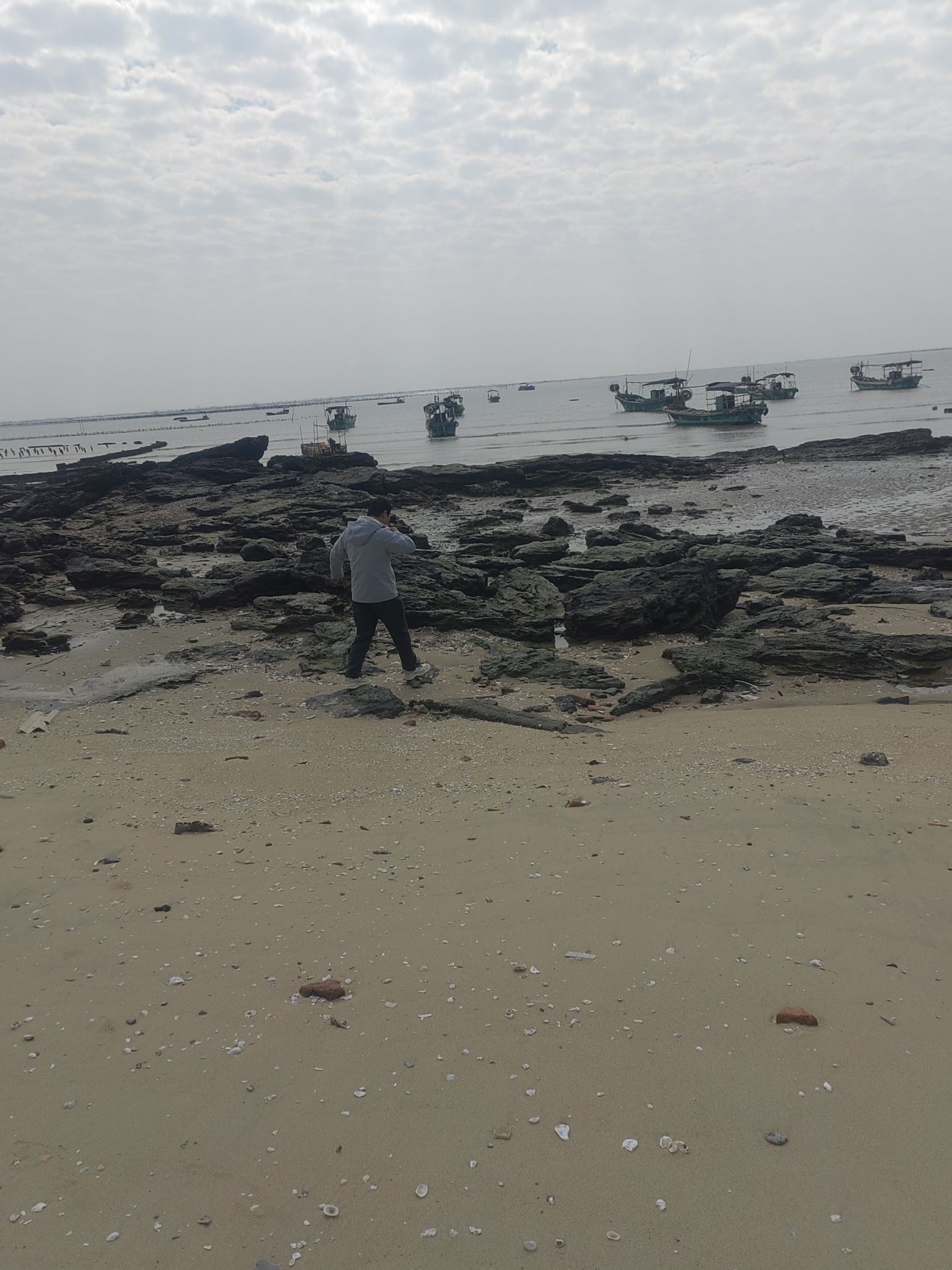 湛江东海龟头村海豚湾旅行图片 3