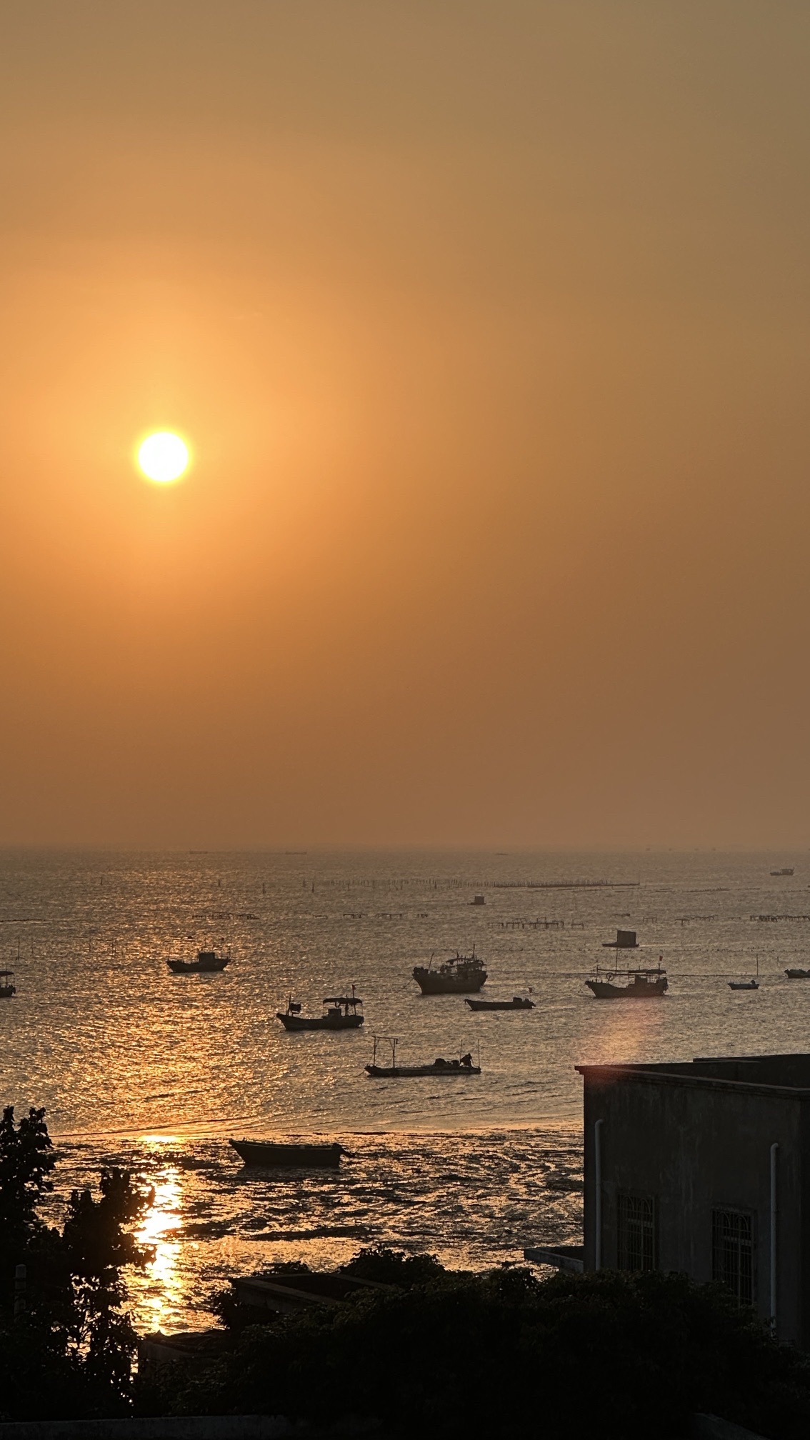 湛江东海龟头村海豚湾旅行图片 1