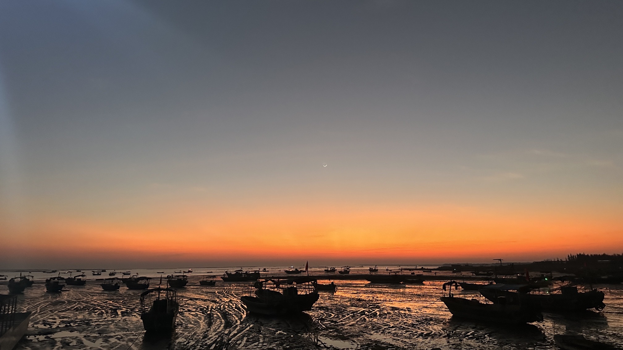 湛江东海龟头村海豚湾旅行图片 2