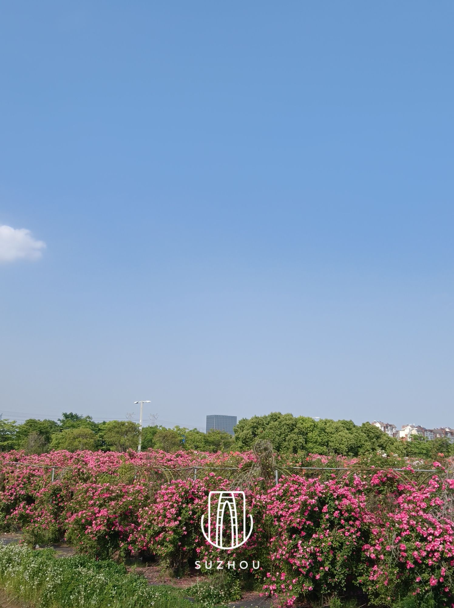 逸趣·沙洲玫瑰庄园旅行图片 1