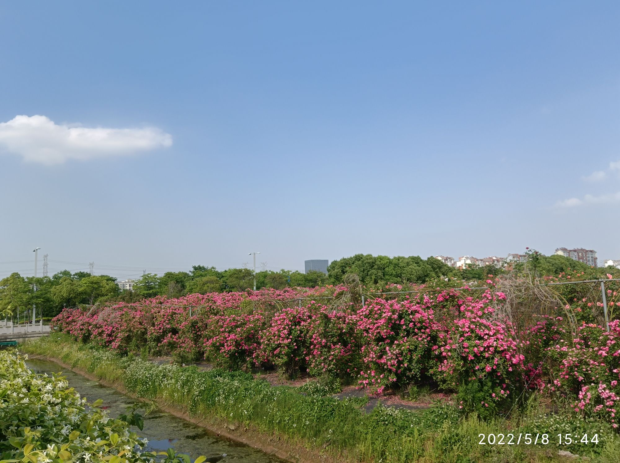 逸趣·沙洲玫瑰庄园旅行图片 2